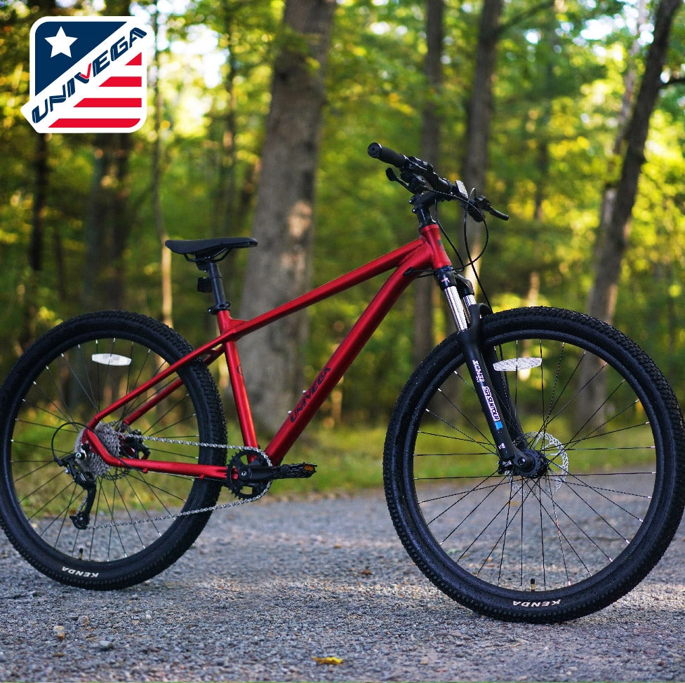 29" ROVER RM29 | MOUNTAIN BIKE