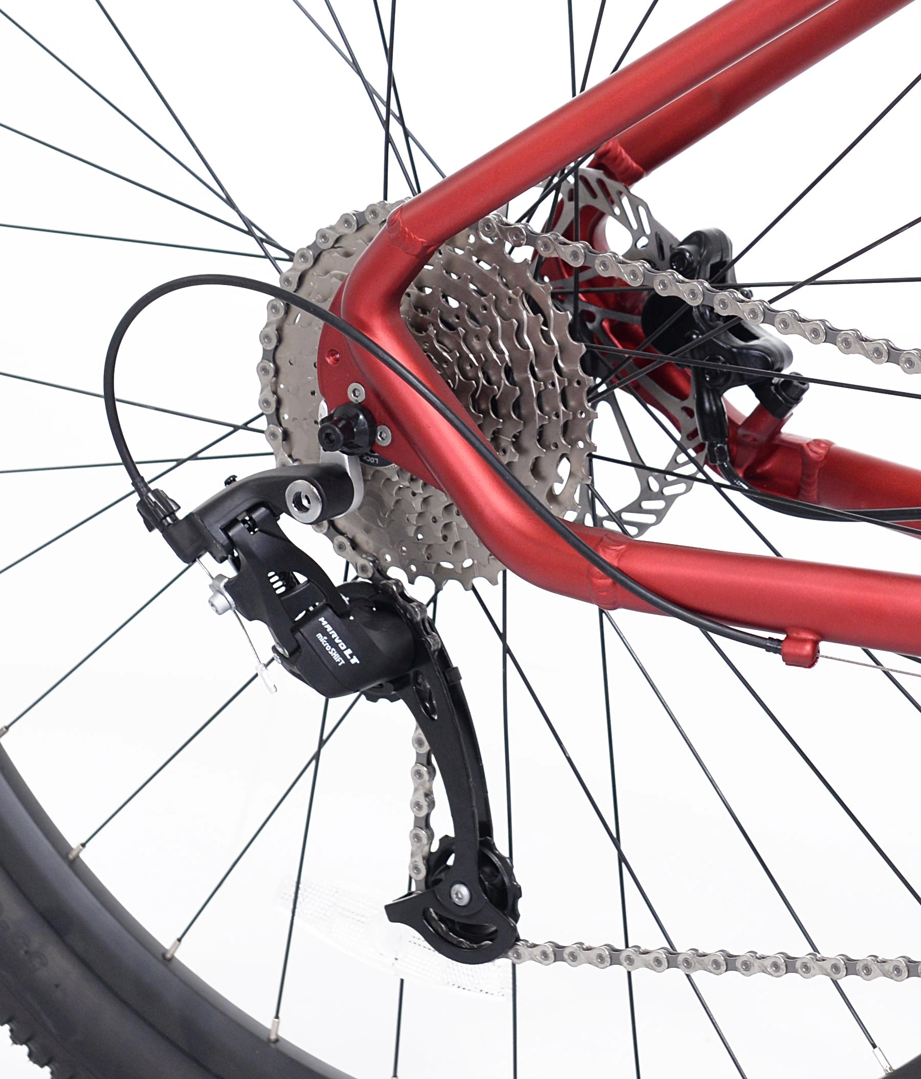 29" ROVER RM29 | MOUNTAIN BIKE