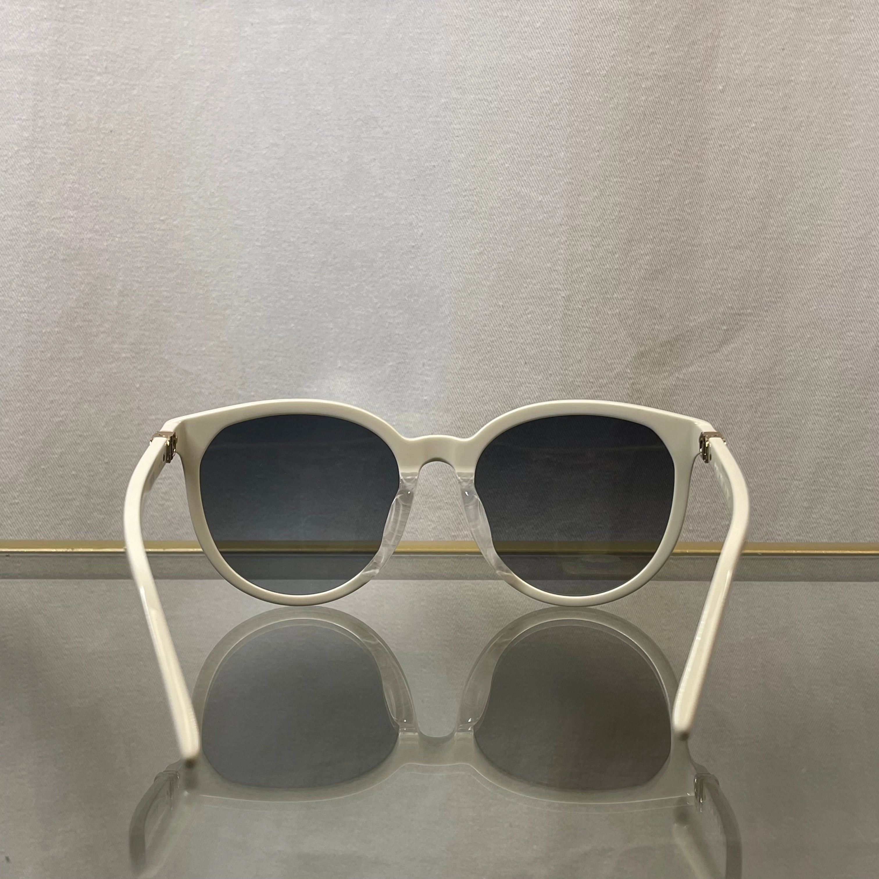 DIOR 30MontaigneMini White Sunglasses TS3640