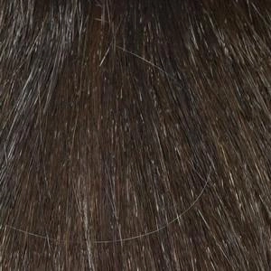 Gigi Wig by Envy | Synthetic (Mono Top)