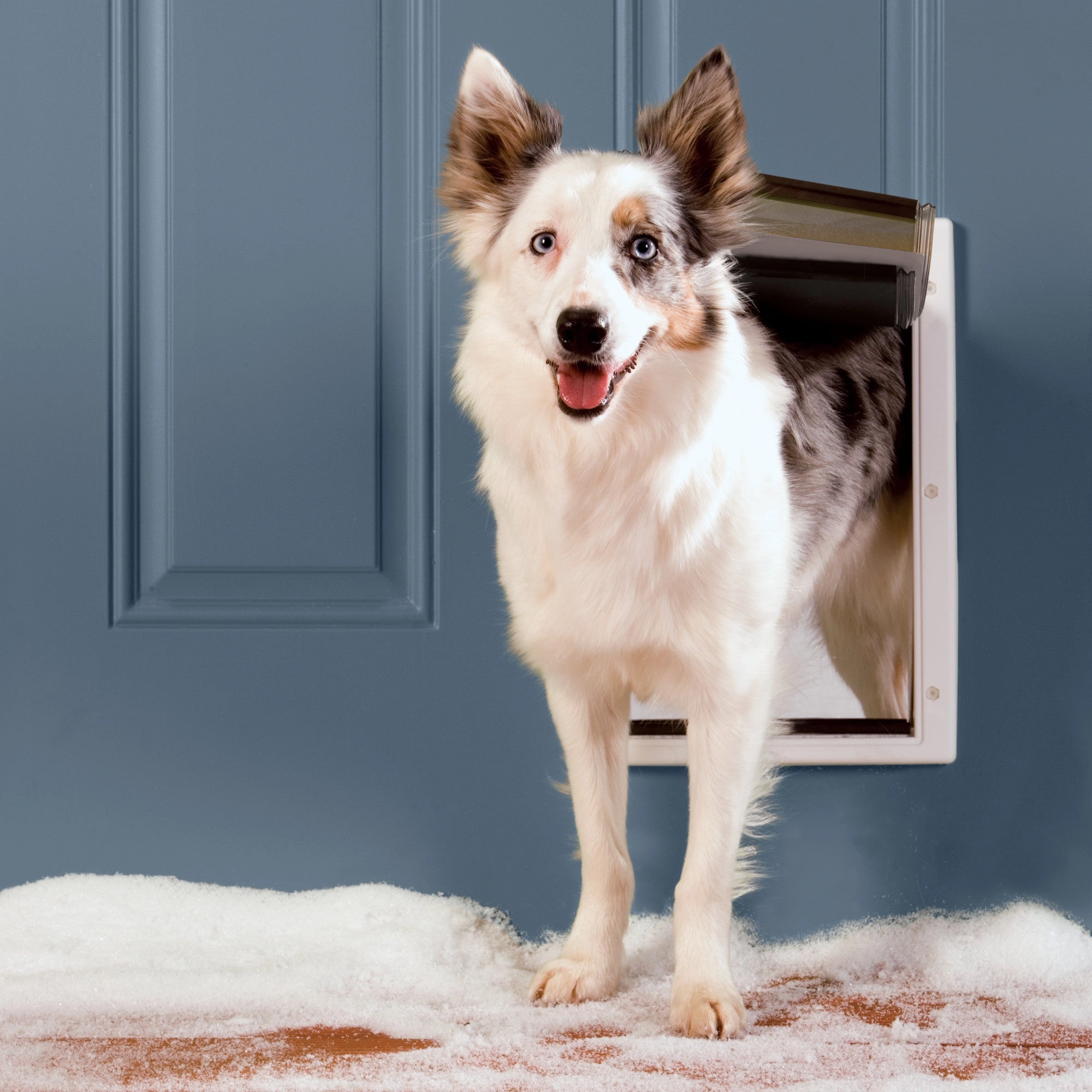 PetSafe® Extreme Weather Pet Door™, Small