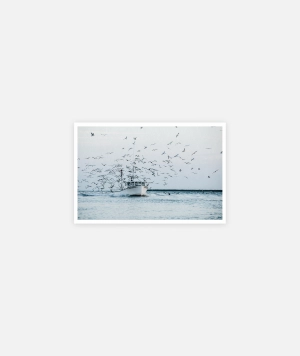 The Dana Christine Greeting Card - Assorted