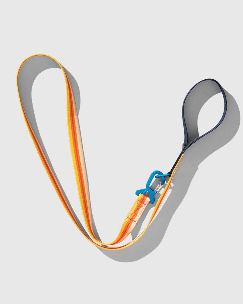 Woven Dog Leash