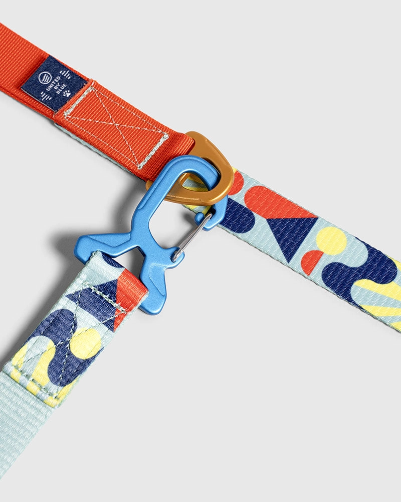 Woven Dog Leash